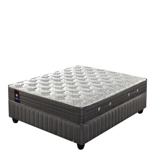 Sealy Amon Firm Double Set