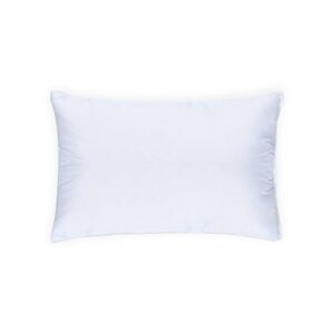 Sleep & Dream 900g Zip Pillow